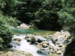 -洋湖国家湿地公园
