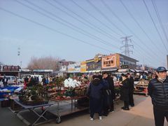 -中环花鸟鱼虫市场