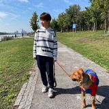 艳阳普照的日子真让人心情舒畅🌞