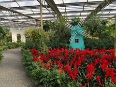 景点-南宫五洲植物乐园