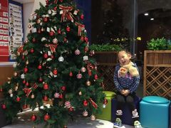 -奇尔思青少儿·语言·艺术·演讲(顾戴路店)