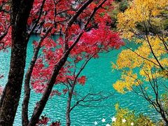 -叠溪松坪沟景区