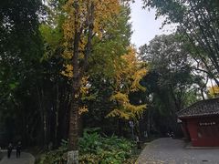 -望江楼公园
