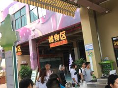 -苏州乐园森林水世界