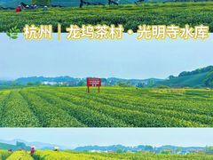 -龙坞茶村
