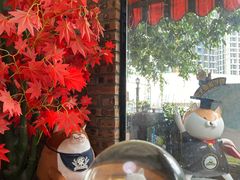 -柴犬高等学院·狗咖·柴犬售卖·宠物训练