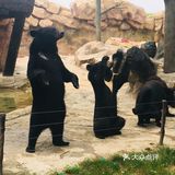 野生动物园