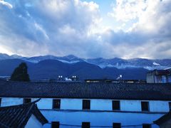 景观位-喵屿·大理花园猫咖