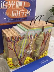 -蕾特恩专业祛痘.面部皮肤管理
