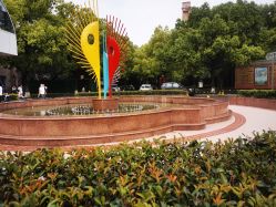 -上海交通大学医学院附属上海儿童医学中心(陆家嘴总院区)