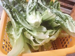 -章记正宗南岗鱼蛋火锅