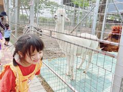 -迪茵湖田家舍生态农场