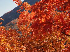 -周口店坡峰岭风景区