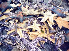 -东戴河风景区-止锚湾