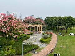 -顺峰山公园