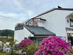 -大澳