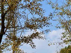 -东钱湖旅游度假区