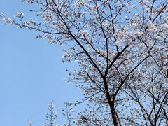 -武汉美术馆(汉口馆)