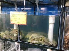 水产区-蚝专家(北滘店)