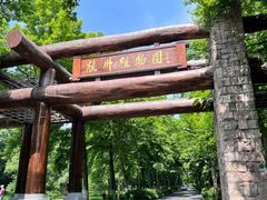 -杭州植物园