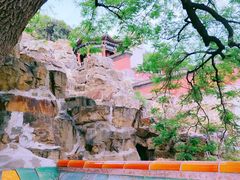 -颐和园