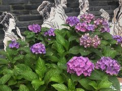 -山沟沟景区