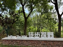 -北京凤凰岭