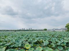 -云龙湖旅游景区