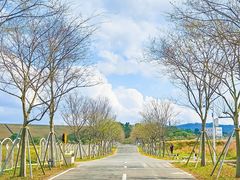 -光明小镇欢乐田园