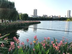 -南宁南湖公园