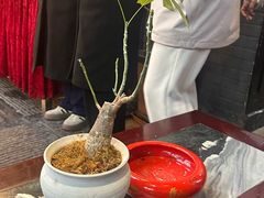 -蔼若春.传承云南菜(金碧公园店)