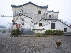 -东梓关景区村庄