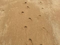 -小皓村
