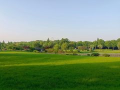 -宜兴龙背山森林公园