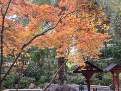 -苏州湾·王焰温泉