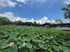 -上海滨江森林公园