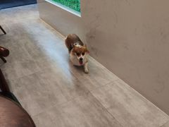 -察理王子(金浦店)