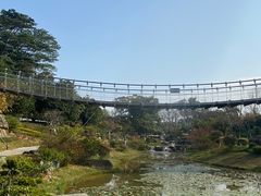 -东莞植物园
