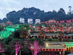 -枇杷园食为鲜火锅(南山店)