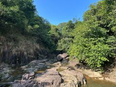 -广州白江湖森林公园