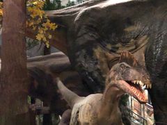 -湖南省地质博物馆