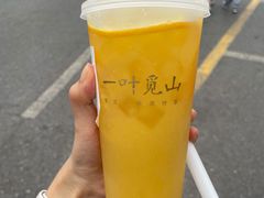 -一叶觅山(半边街店)