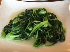 炒有机青菜-香江小厨 The Kitchen(香江俱乐部店)