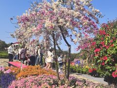 -东莞植物园