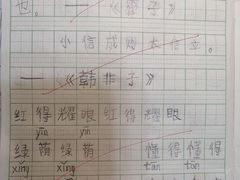 -学知乐教育·幼小衔接·小学科辅导(嘉定镇校区)