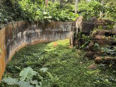 -海南热带野生动植物园