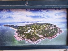 -广东惠东海龟国家级自然保护区