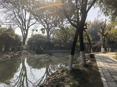 -八大山人梅湖景区