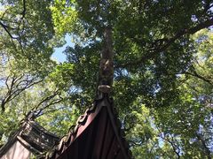 -绮园景区