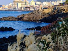 -龙头岩(Dragon Head Rock)